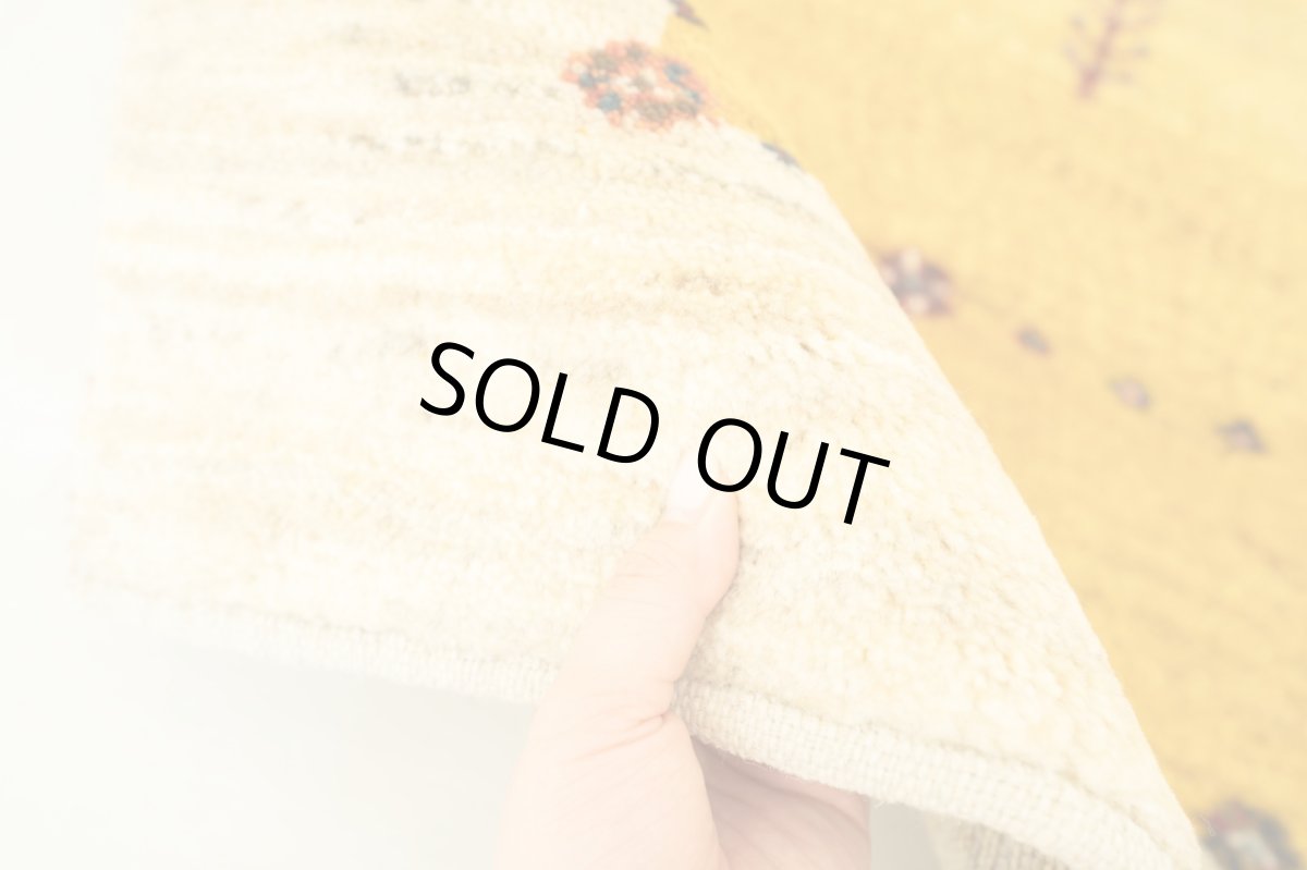 画像8: ゾランヴァリギャッベ：アマレ　リビング小（154×101) (8)