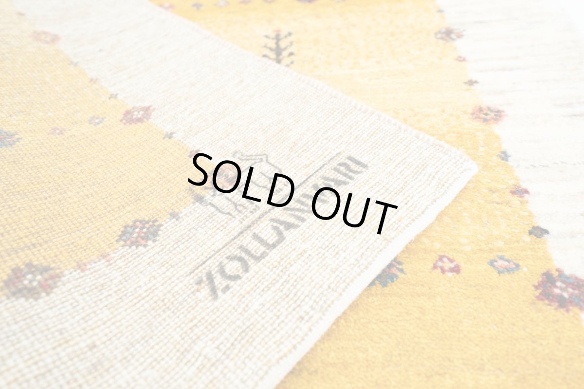 画像15: ゾランヴァリギャッベ：アマレ　リビング小（154×101) (15)