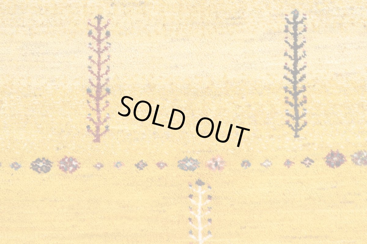 画像10: ゾランヴァリギャッベ：アマレ　リビング小（154×101) (10)